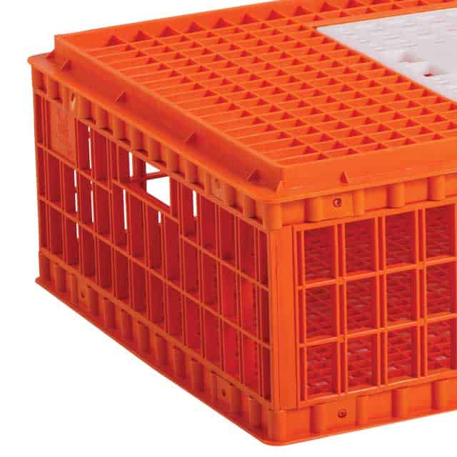 Thumbnail-Sub-POULTRY-EQUIPMENT-